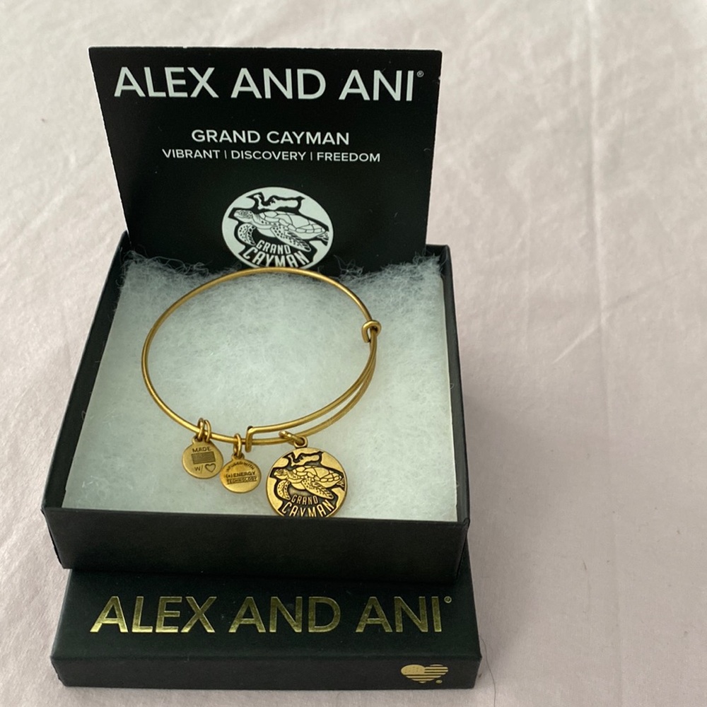Alex & Ani Bracelet